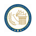 imv logo